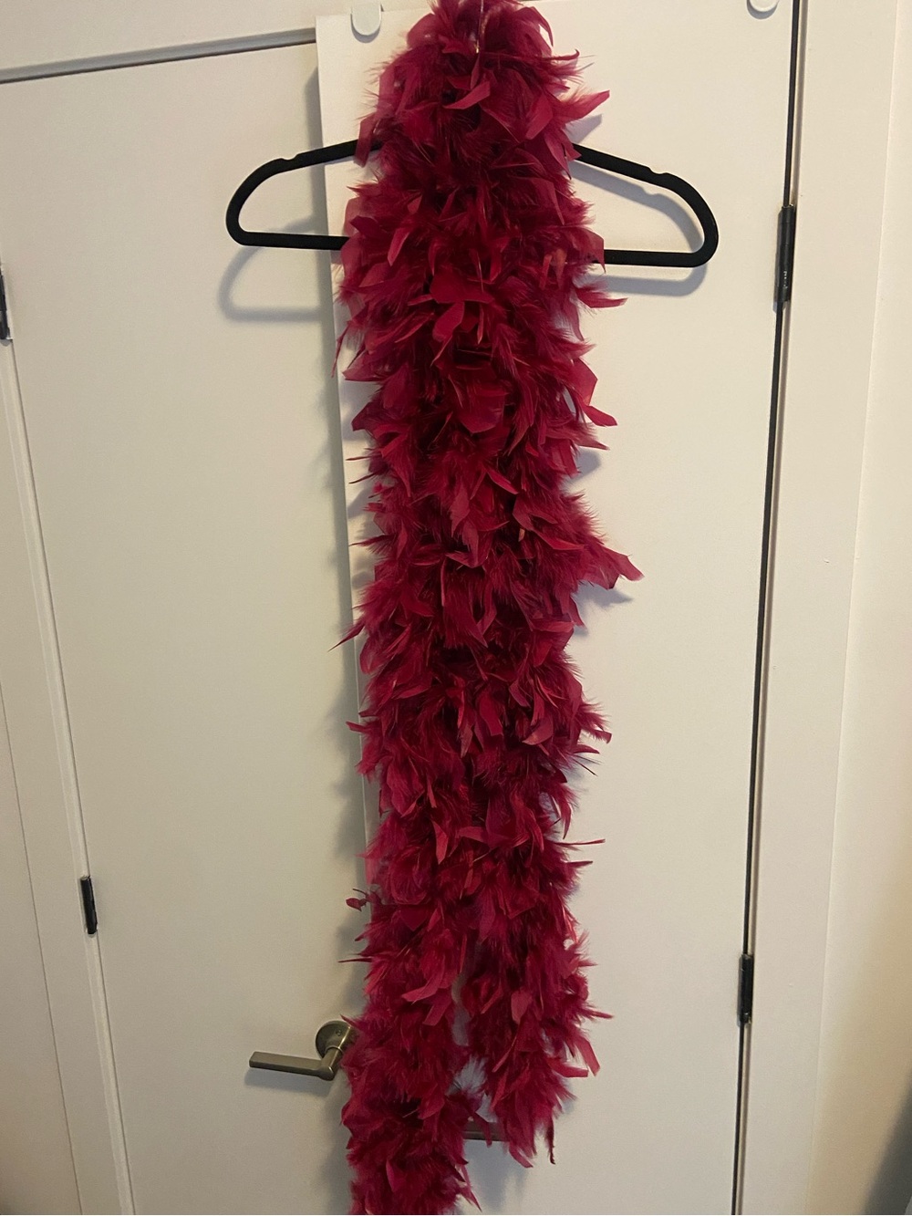 Berry Red/Pink Feather Boa